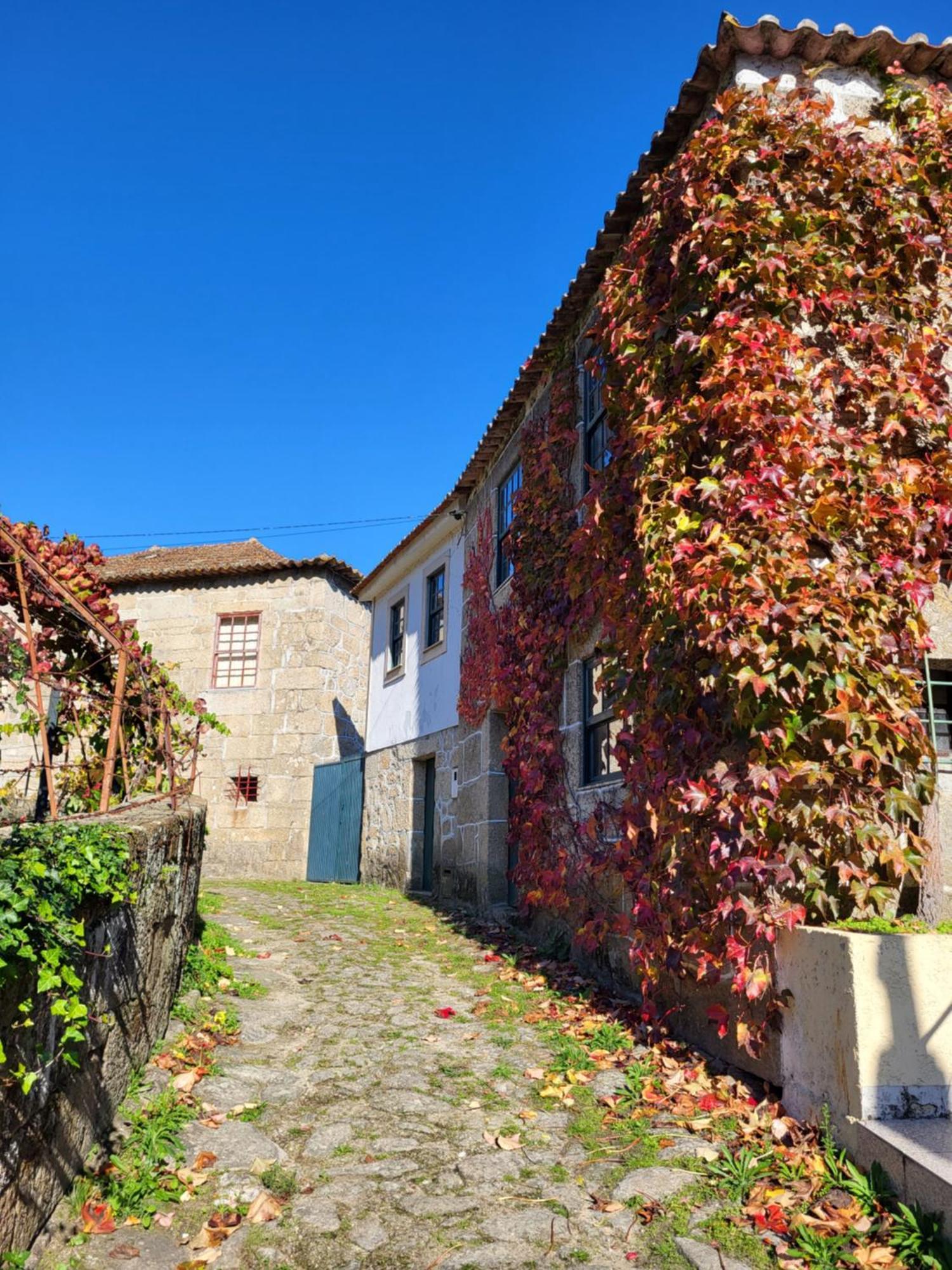 Ferienwohnung Douro Studio Cinfães Exterior foto